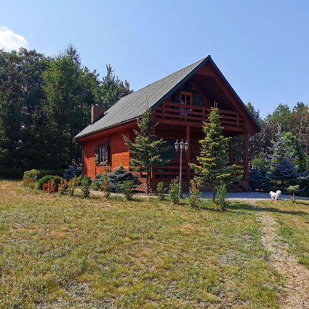 Domek Na Wsi Nad Jeziorem , Prywatny Staw Kamienczyk Dezerta Exterior photo